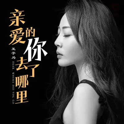 亲爱的你去了哪里封面