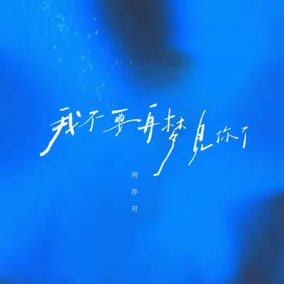 我不要再梦见你了(伴奏)封面