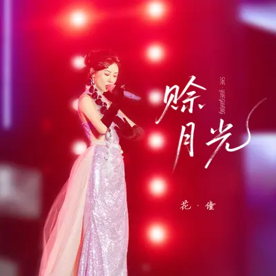 赊月光(DJ彭锐版)封面