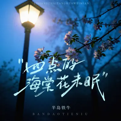 四点的海棠花未眠封面