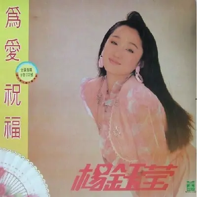风雨情途封面