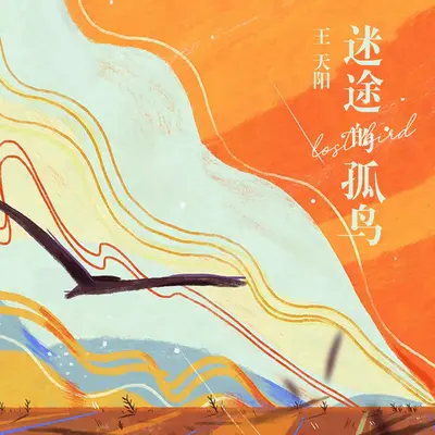 迷途的孤鸟(伴奏) - 王天阳封面