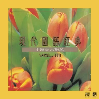 爱上一个不回家的人(精编版)封面