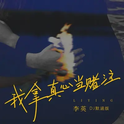 我拿真心当赌注(DJ默涵版) - 李英封面