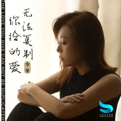 你给的爱无法复制封面