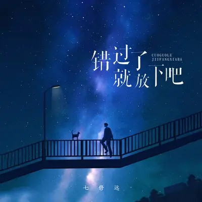 错过了就放下吧 - 齐修远封面