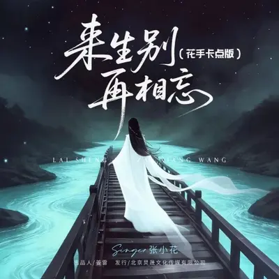 来生别再相忘（花手卡点版）封面