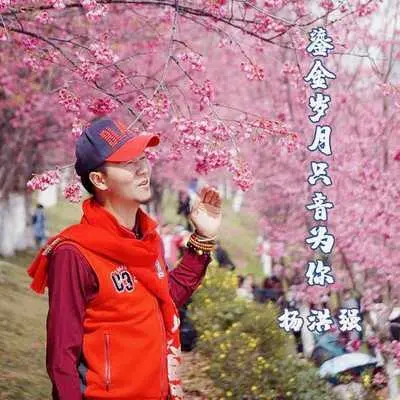山谷里的思念封面