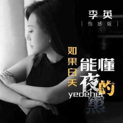 如果白天能懂夜的黑(DJ默涵伤感版) - 李英封面