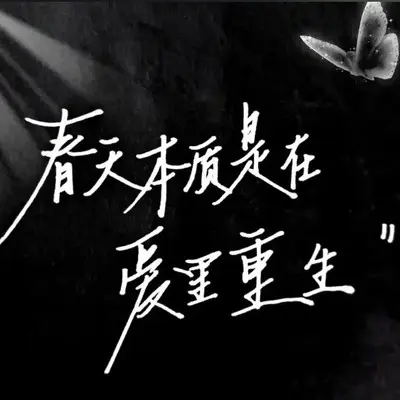 咫尺 - 樊少华封面
