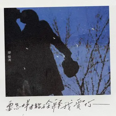 要怎样才能诠释我爱你封面