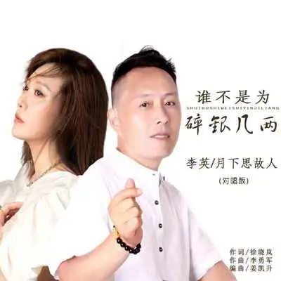 谁不是为碎银几两(DJ默涵对唱版伴奏)封面