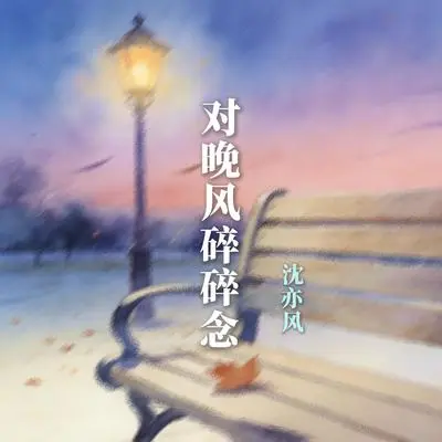 对晚风碎碎念封面