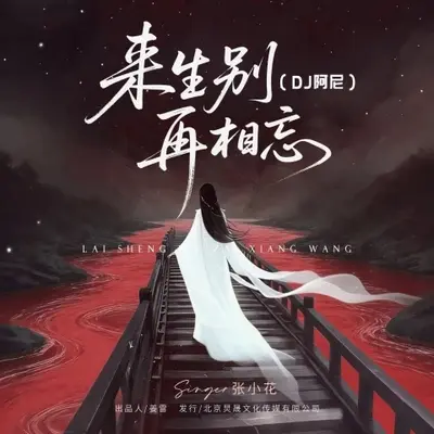 来生别再相忘（DJ阿尼）封面
