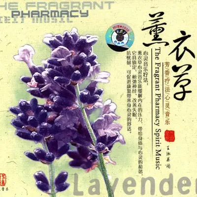 紫色的花海封面