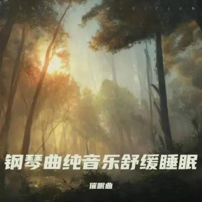 轻音乐舒缓放松纯音乐 深度睡眠封面
