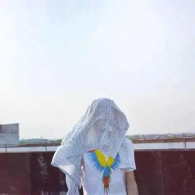 花儿封面