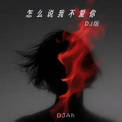 怎么说我不爱你(DJ热播版) - 金队长 / Djah封面