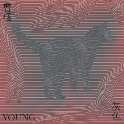灰色 - 曹杨封面