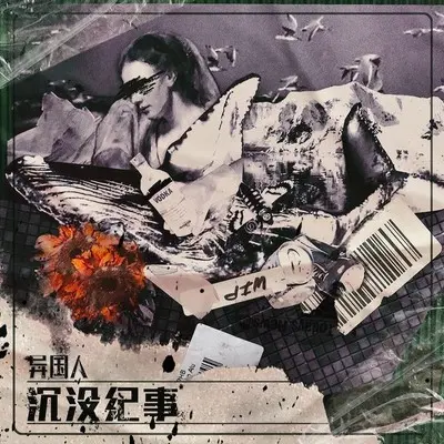 沉没纪事封面