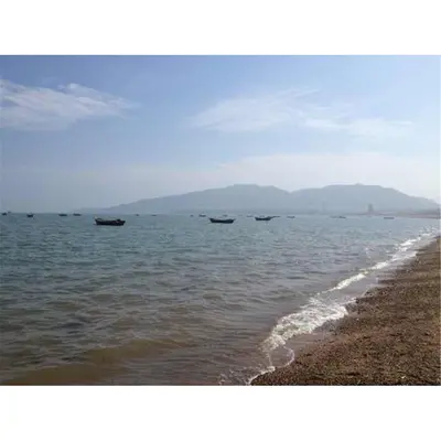当做没有爱过我 - 杨钰莹封面
