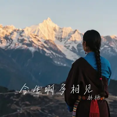 今生啊多相见(深情版)封面