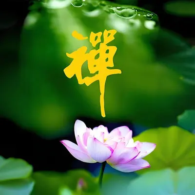古琴版养肝音乐封面