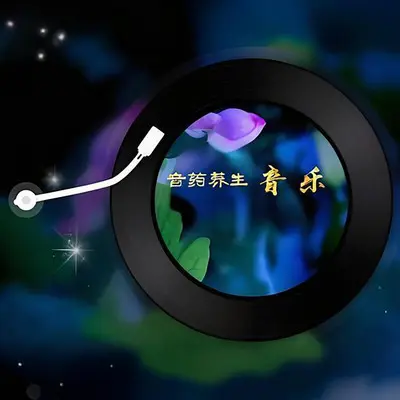 音药养生·调五脏 补充能量·古琴五音疗愈封面