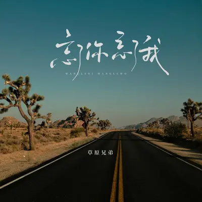 忘了你忘了我（DJ版）封面
