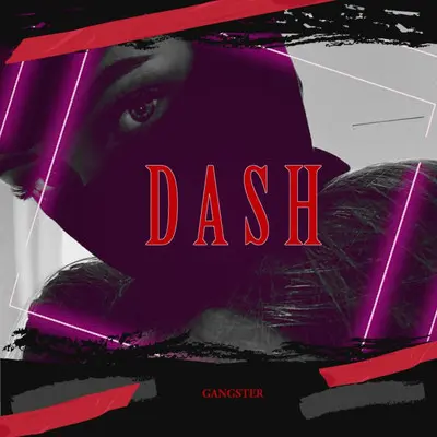 DASH封面