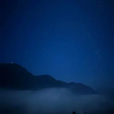 永远的紫荆花在爱之下茁壮发芽（Live）封面