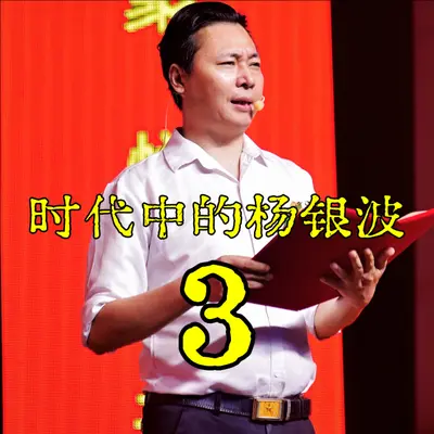你看见的我 - 杨银波封面