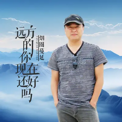 远方的你现在还好吗（DJ默涵版）封面