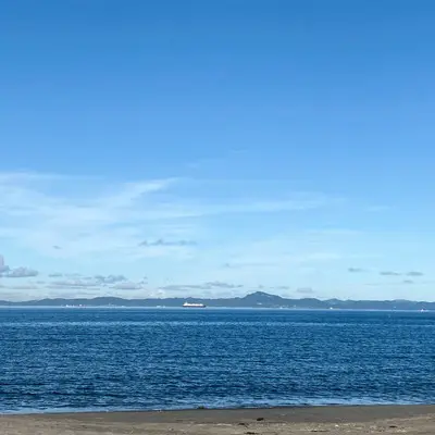 说过要一起看的海封面
