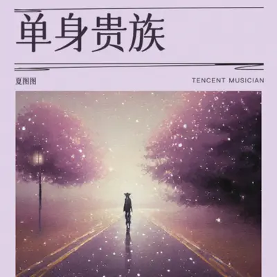 单身贵族封面