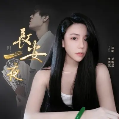长安一夜 (DJ沈念版)封面