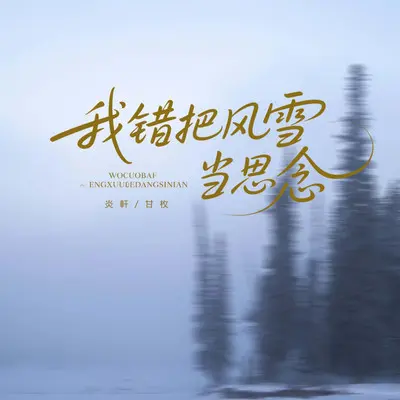 我错把风雪当思念封面