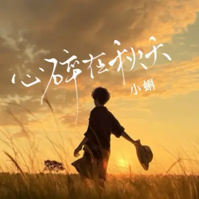 心碎在秋天（男童版）封面