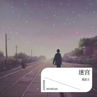 迷宫 (眼神太闪躲)封面