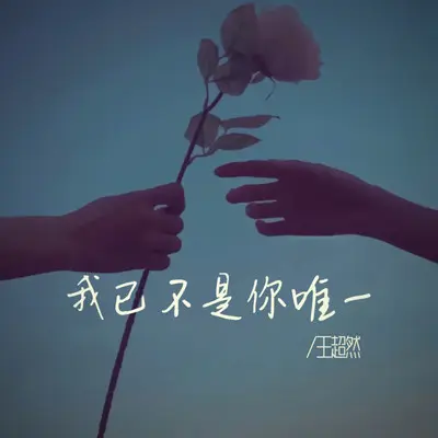 我已不是你唯一 - 王超然封面