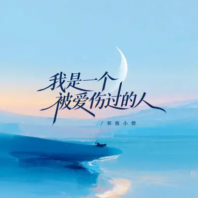 我是一个被爱伤过的人（烟嗓版）封面