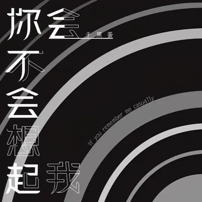 你会不会想起我(纯音乐)(伴奏)封面