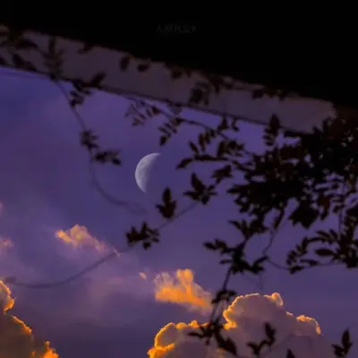 所爱隔山海 - 蓝莓酱封面