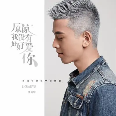 原谅我没有好好爱你封面