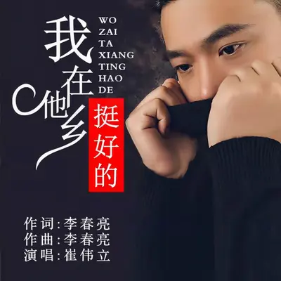 我在他乡挺好的  DJ默涵版 - 崔伟立封面