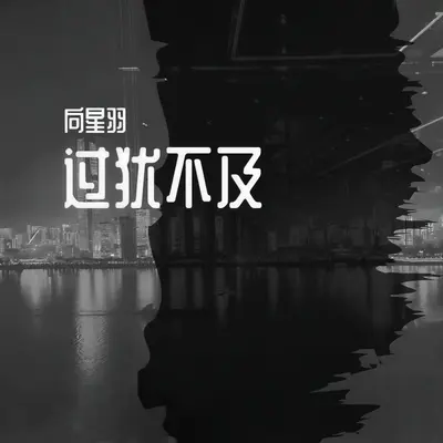 过犹不及DJ劲歌ROCK版（伴奏） - 世间魁 / 向星羽 / DJ劲歌ROCK封面
