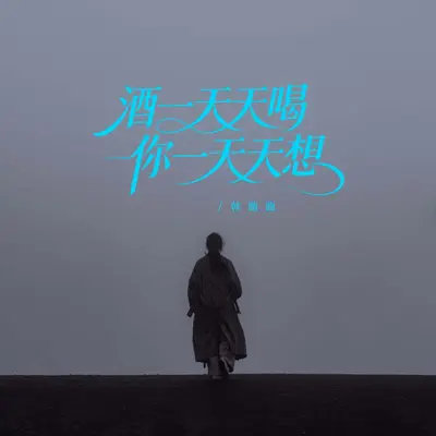 酒一天天喝你一天天想（烟嗓版）封面