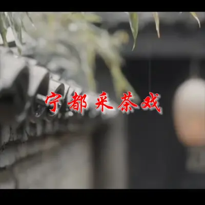 橙歌音像 宁都采茶戏 上调 伴奏(丞相试母选段) - 康城基封面