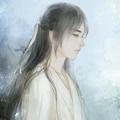 绵绵头上飞花封面