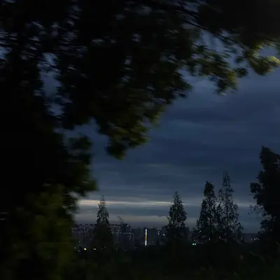 你出现了又离开封面